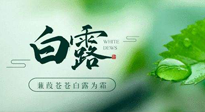 【二十四節(jié)氣灸】白露涼爽，養(yǎng)心肝脾胃、滋陰潤(rùn)肺是關(guān)鍵！