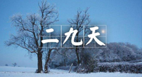 【三九養(yǎng)生】冬二九，扶陽(yáng)補(bǔ)腎氣，讓你陽(yáng)氣充足一整年！