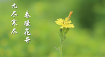 【九九養(yǎng)生】三月四日“九九日”，寒冬已過。春天養(yǎng)好身，全年不怕?。? />
                    </a>
                </div>
            </li>
            
            <li id=